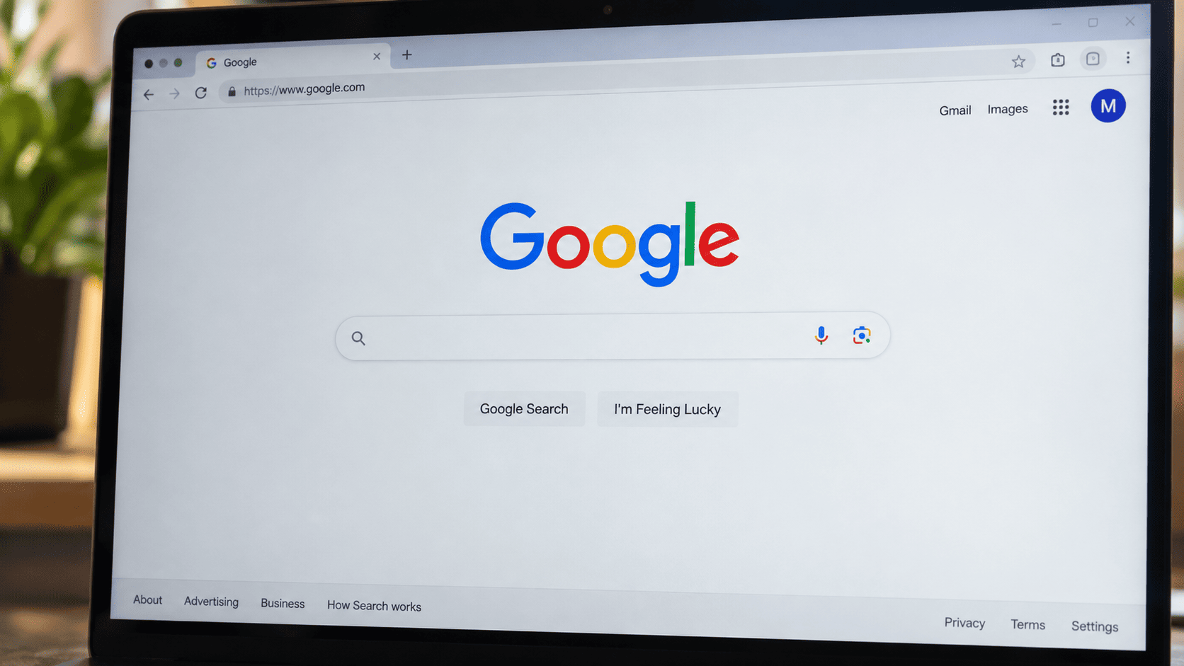 Alphabet price targets rise to $485 as AI bolsters search dominance