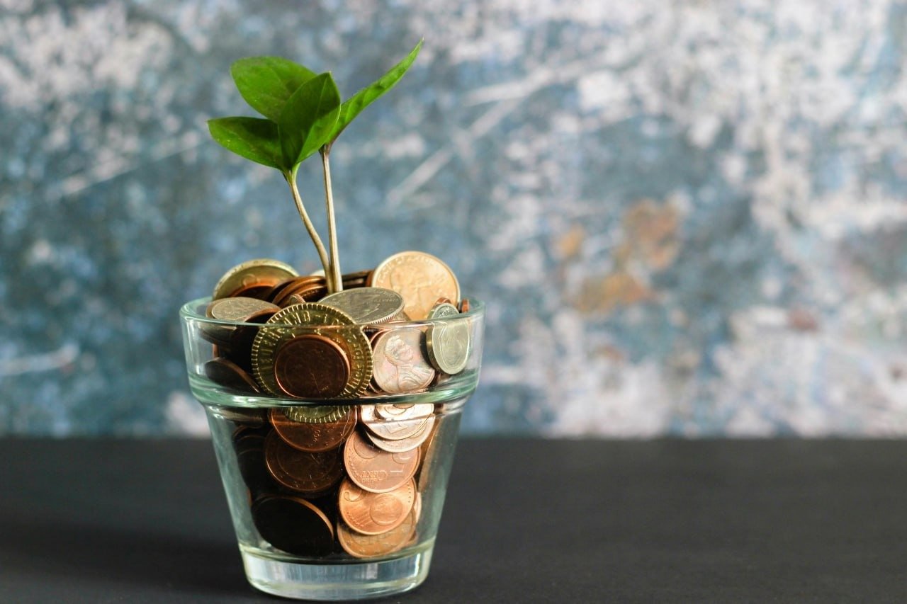 Eneba Launches Guide on Systematic vs. Unsystematic Risk for Investors