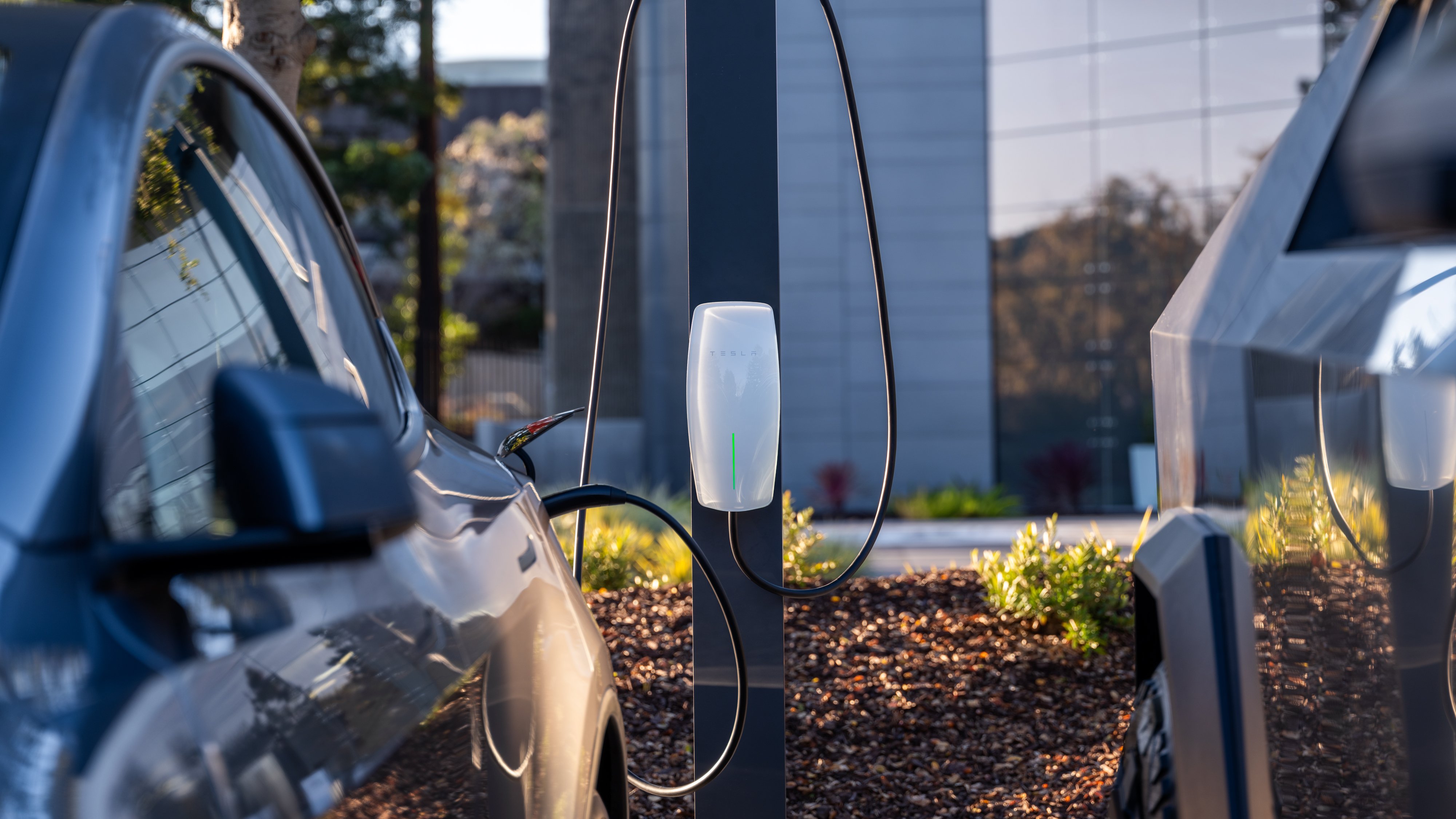 Tesla Launches Robotaxi Service in Miami, Fleet Size Trails Waymo in Texas