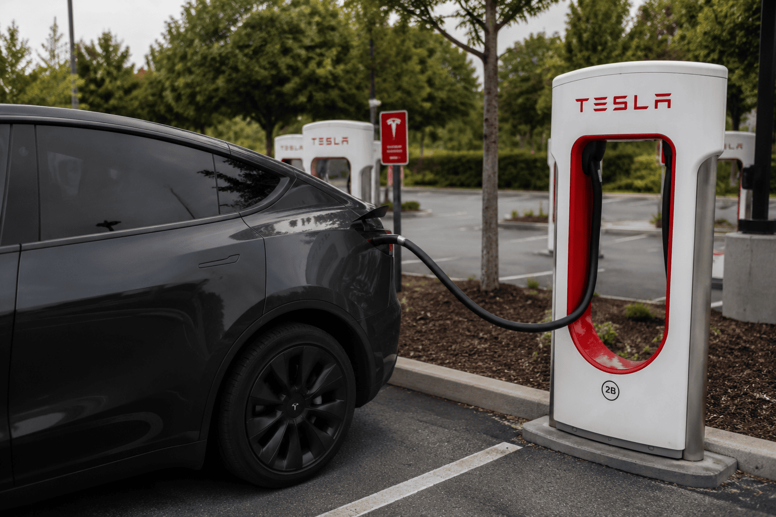 Tesla Stock Drops 4% as Q2 Earnings Reveal AI Spending Squeeze on Margins