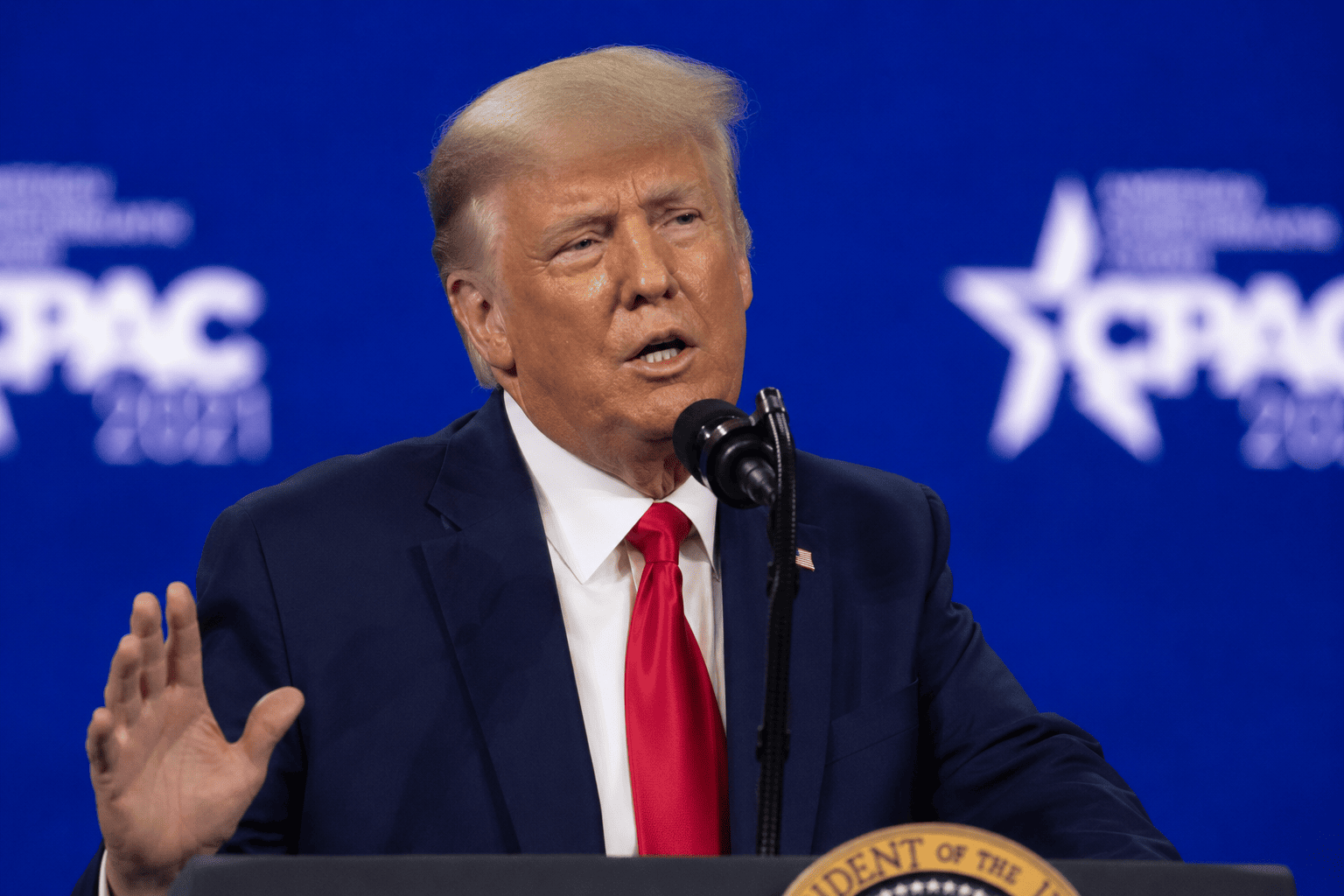 Trump's Portfolio Managers Favor Nvidia Over Micron in AI Bet